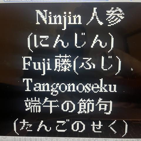 “Ninjin 人参
（にんじん）
Fuji藤（ふじ）
Tangonoseku
端午の節句
（たんごのせく)” typeset in Louvette Pixel