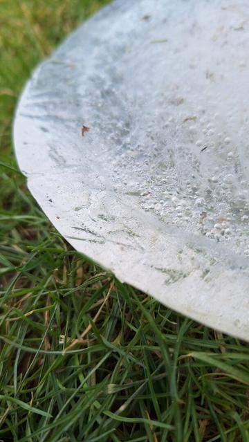 ice on grass