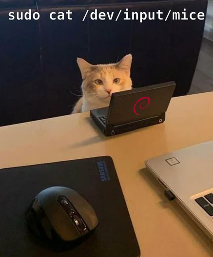 a cat sitting at a table with a small laptop in front of her (on the backside of the screen is the Debian logo) In front of this laptop is a wireless computer mouse on a mousepad. At the top of the image it reads "sudo cat /dev/input/mice"