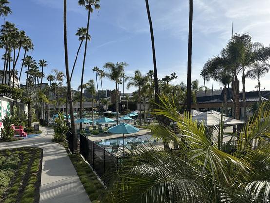 Wide shot of the hotel grounds with swimming pool surrounded by tall palm trees. The sky is bright blue.