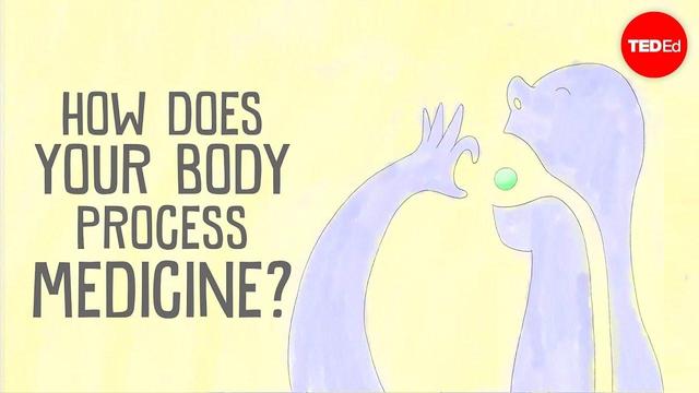 the thumbnail for the video: the words "HOW DOES YOUR BODY PROCESS MEDICINE" are on the left, and on the right there is a cartoon person swallowing a green pill