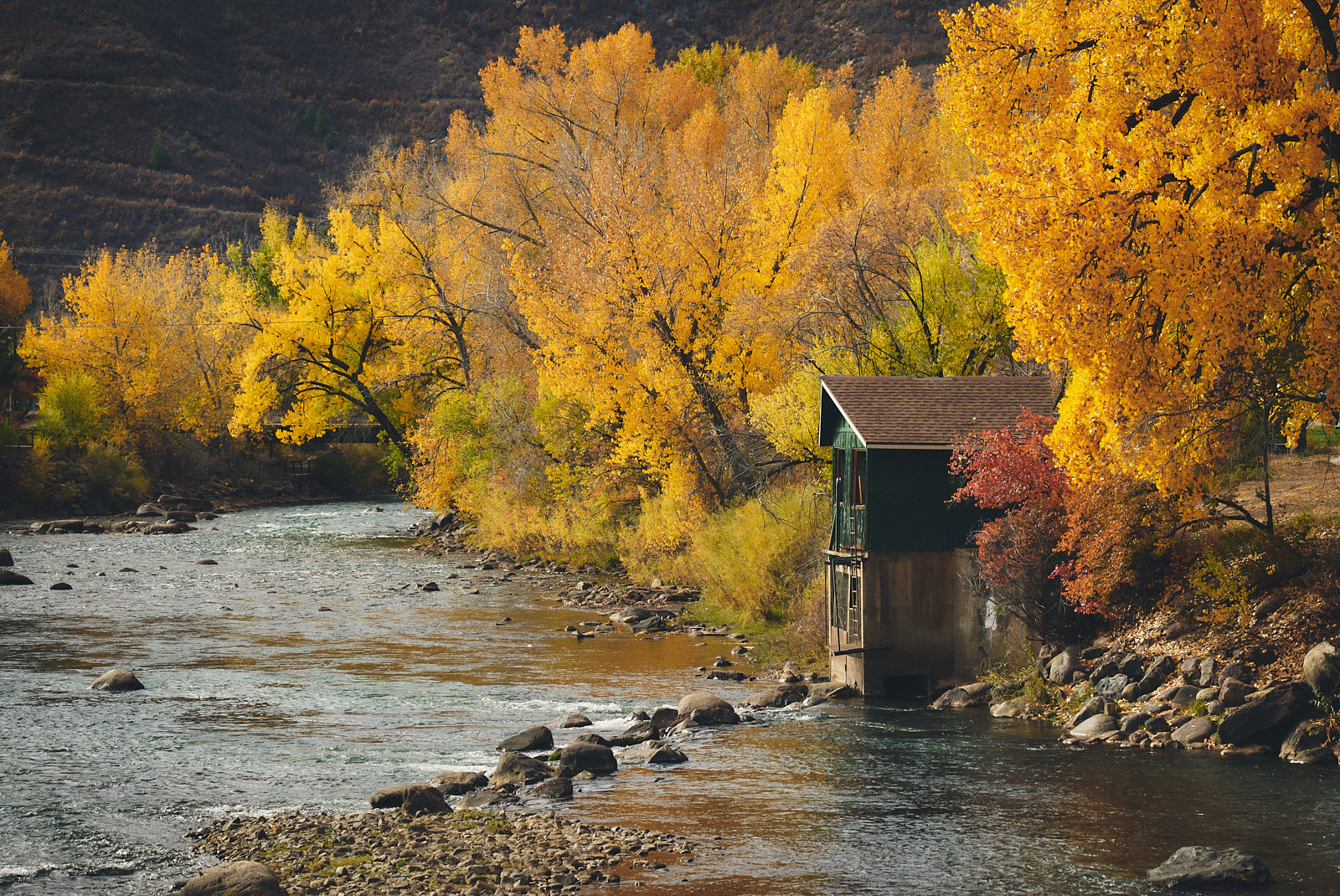 Beneath a gentle late-morning light, the Animas River glides over smooth stones through Schneider Park in Durango, Colorado. Stately cottonwoods shimmer in a vivid display of gold, their autumn leaves radiating against the rugged hillside in the distance. A modest green riverside structure perches at the water’s edge, adding a hint of rustic character to the scene. The water flows steadily, reflecting flashes of amber foliage above and dissolving into deep, cool ripples as it rounds the bend. It’s a serene, almost magical snapshot of fall—alive with bright color and the crisp, invigorating air of October in the Rockies.