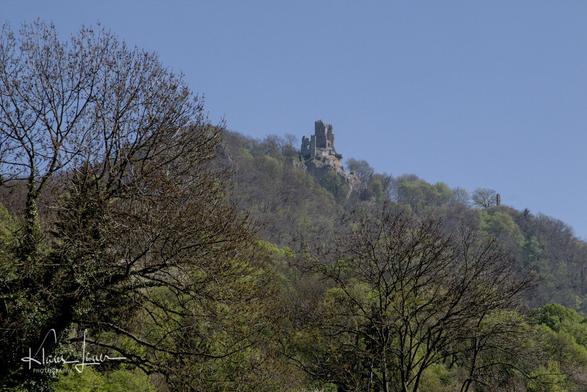 Auf dem Bild sieht man die Ruine der Burg Drachenfels im Frühling. Aufgenommen wurde das Bild vom Ufer des Rheins.