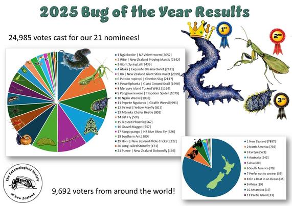 An infographic with a pie chart and map showing the breakdown of votes for the bug of the year contest.