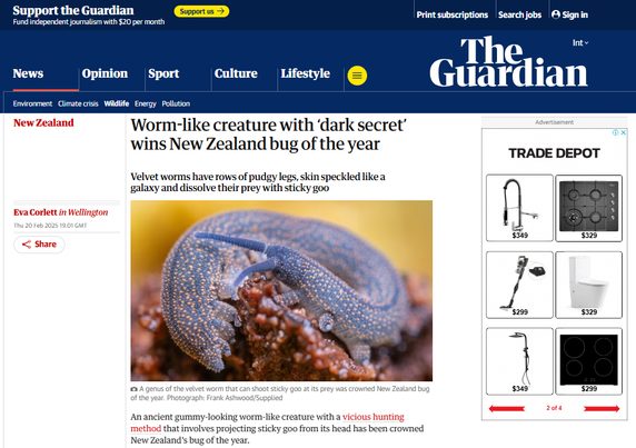 A screenshot of a news article on The Guardian newspaper online, detailing the big of the year contest with one of my photographs of a velvet worm as the header image.