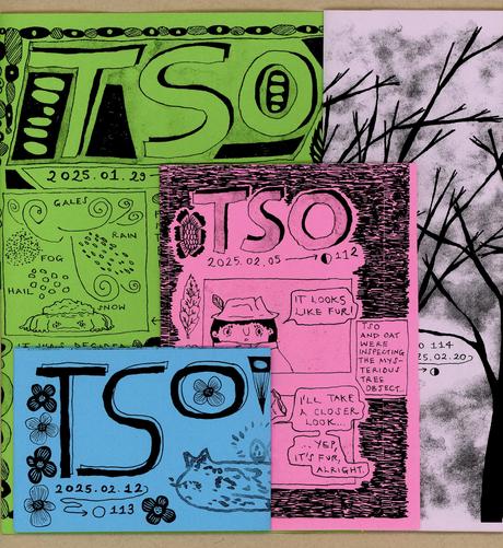 A set of four zines/comics with illustrations of trees, flowers, patterns, detective Tso, Fraser the cat, and the toad covered in snow.