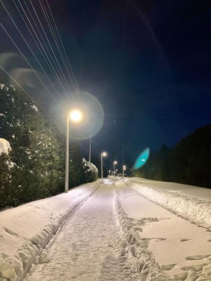 A snows covered pathway with snow piled on either side, banked by cedar hedges and lit by street lights. There is a lot of snow.