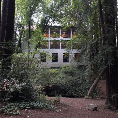 Mill Valley Public Library surrounded by large trees