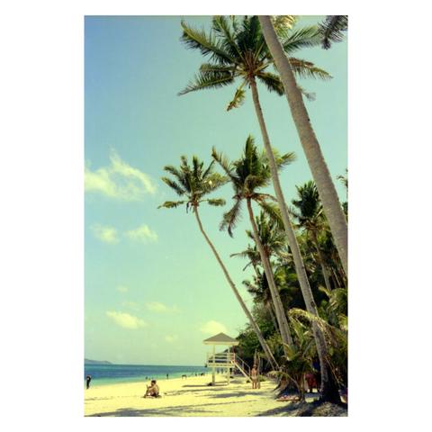 A photo of individuals enjoying a sunny Boracay Philippines beach. Tall coconut trees prominently line the photo, emphasizing the tropics of the location.