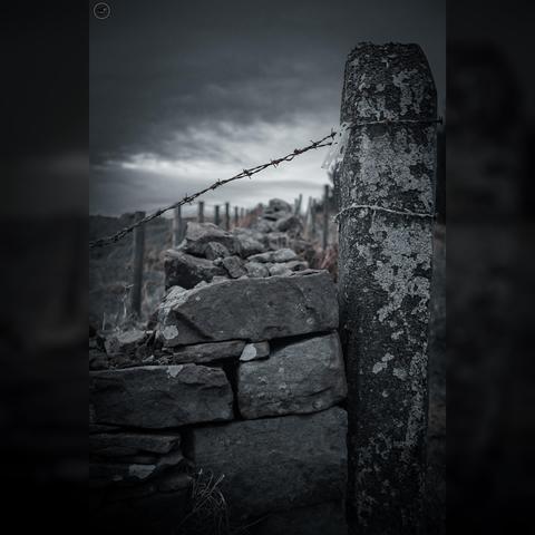 Monochrome shot along top of stone wall leading into the distance. Fields to left, trees to right, cloudy sky above