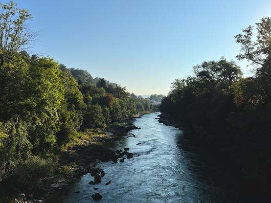Ein friedlicher Fluss fliesst durch eine grüne Landschaft mit Bäumen und Felsen, während die Sonne durch die Blätter scheint.