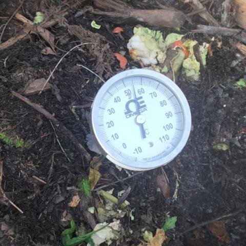 Foto del interior de una compostera en la que además de los restos orgánicos frescos mezclados con los más frescos, se ve un termómetro analógico circular marcando una temperatura de 54°C.