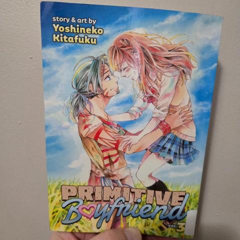 Photograph of a white person's hand holding Volume 23of Primitive Boyfriend against a light colored wall. The cover shows a teenage girl in a Japanese school uniform being lifted in the air in a rice field by a strong, painted / tattooed largely naked ancient man. The two are smiling.