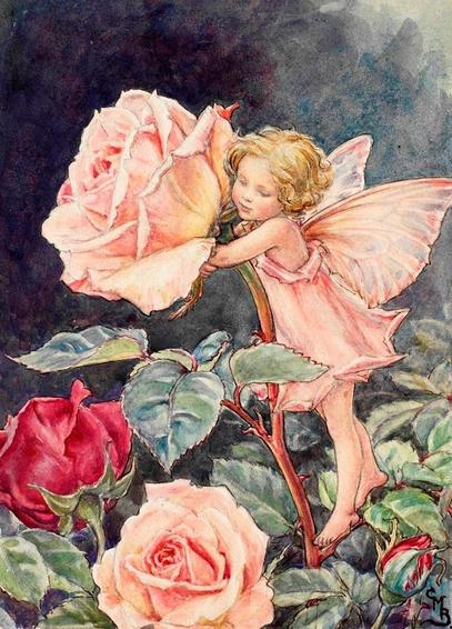 A little rose fairy embracing a rose. Painting by Cicely Mary Barker.