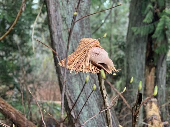 A photo showing a cedar woven Coast Salish hat adorned with a carved raven's head perched atop a wooden pole, displayed outdoors, with a blurred background of a forest environment. The hat is light brown/beige & densely woven, with cedar strip strands fringed on both sides of the raven head face carving. The raven carving is pale pinkish beige, with an open beak & an intricate Coast Salishan eye design.
