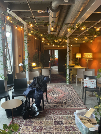 A room with cozy lamps. Fake ivy decor and light in the ceiling.