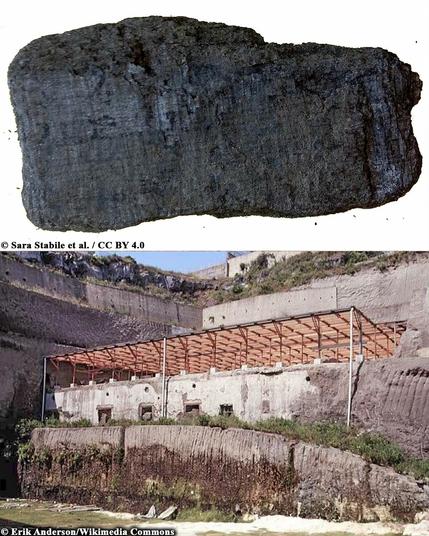 AI reveals first look inside 2,000-year-old Herculaneum scroll

One of the world’s oldest scrolls, dating back two millennia, originating from the lost Roman city of Herculaneum, long considered unreadable because of the devastating eruption of Mount Vesuvius in 79 CE, has yielded the first decipherable words thanks to new technology. By employing artificial intelligence (AI) and advanced X-ray imaging techniques, scientists have been able to virtually unroll the fragile papyrus and reveal lost words in ancient Greek.

The charred scroll, known as PHerc. 172, is among many unearthed at the Herculaneum ruins, a city that, like Pompeii, was destroyed in the eruption. The intense heat carbonized the scrolls, making them too brittle to physically open. Among the first words deciphered from PHerc. 172 are ἀδιάληπτος (‘foolish’), διατροπή (‘disgust’), φοβ (‘fear’), and βίου (‘life’). All of these words suggest that the scroll could be a work of the philosopher and poet Philodemus of Gadara, one of the leading Epicureans of the 1st century BCE...