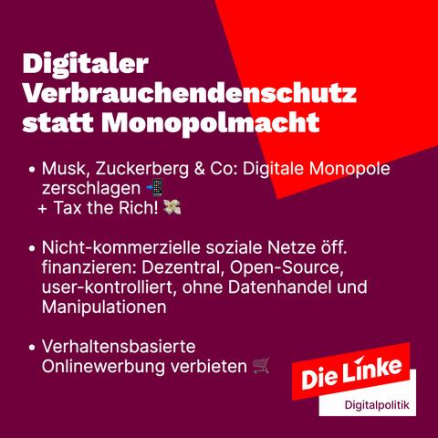 Sharepic der Linken zur Bundestagswahl 2025. Forderung nach digitalem Verbrauchendenschutz statt Monipolmacht.
