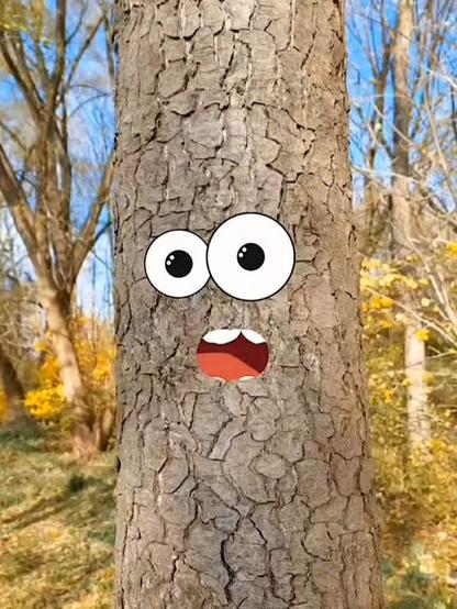Auschnitt einer Erle, im Hintergrund ein Herbswald. Auf den Baumstamm habe ich bewegliche Augen und einen Mund eingefügt, um den Baum zum Sprechen zu bringen. Erschrockener Gesichtsausdruck.