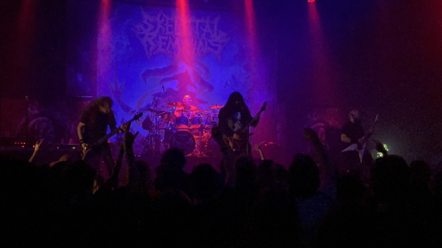 Skeletal Remains in Eindhoven