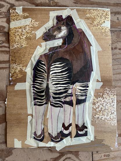 Photograph of the same marquetry okapi before being cut into the background. The okapi is taped to the background with a lot of masking tape.