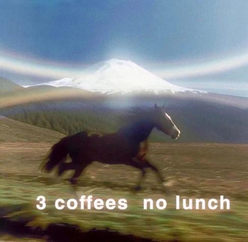 Meme: A horse running unbridled with the caption 3 Coffees, No Lunch