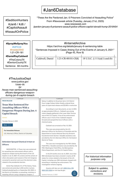 Screenshots of court information pertaining to convicted January 6th rioter Daniel Ray Caldwell (The Colony, Texas).