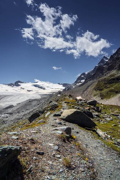 A rugged alpine trail leading toward the Schwarzberg Glacier in the Pennine Alps, Valais, Switzerland. The glacier, partially covered in debris, contrasts with the rocky terrain and patches of alpine vegetation, while jagged peaks rise in the background under a deep blue sky with scattered clouds.