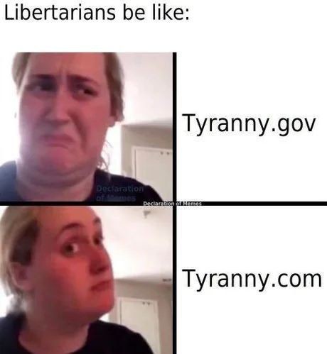 An instance of the white woman reconsidering meme. Text on top reads: "Libertarians be like:". The woman is disgusted by "tyranny.gov" but intrigued by "tyranny.com"