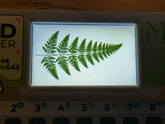 Closeup view of the color display of a card-sized microcontroller device running a graphics program. On a white baground the display shows a green fractal fern.