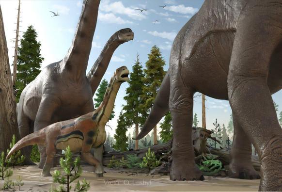 Un branco di Camarasaurus, dinosauro sauropode del Giurassico, attraversa una foresta alluvionale prevalentemente di conifere in quello che un giorno sarà lo Utah. Questi grandi dinosauri trasformano il paesaggio con i loro passi e corpi massicci, danneggiando gli alberi e aumentando i livelli di luce per gli alberelli sul suolo della foresta.