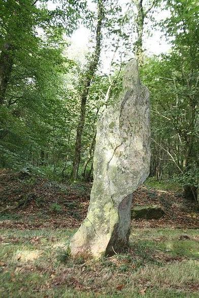 Menhir à #Glomel (#CôtesDArmor)
Suite 👉 https://monumentum.fr/monument-historique/pa00089162/glomel-menhir
#Patrimoine #MonumentHistorique
Photo CC-BY-SA 4.0 : LionelRauch