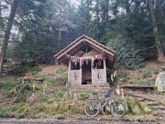 Eine mit Fahnen dekorierte Holzhütte im Wald. Auf beiden Seiten stehen Bänke. Unterhalb der Hütte lehnt ein Mountainbike an der Böschung. Im Bild ist ein Plüschhai versteckt.