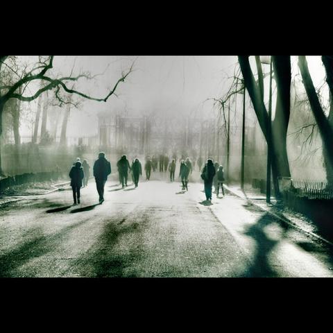 Groupe de personnes marchant en contre jour jour, formant des silhouettes fantomatiques.Les ombres sont très fortes 
Noir&blanc
Lyon parc de la tête d'or, France