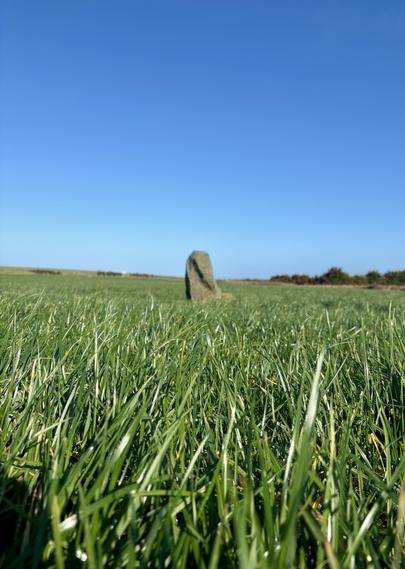 Mini standing stone with a green grass foreground and blue sky backdrop.