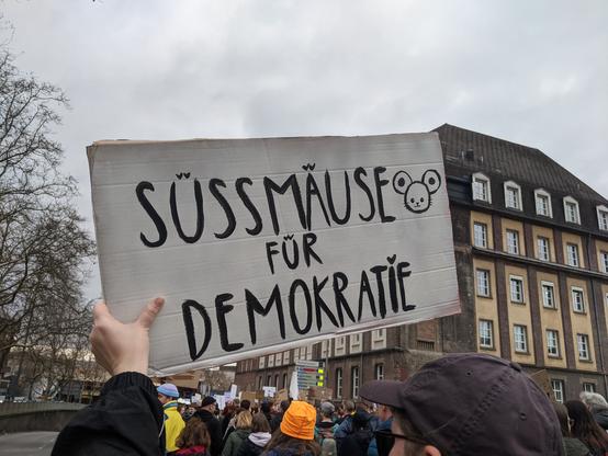 Demo-Schild: "Süssmäuse für Demokratie"