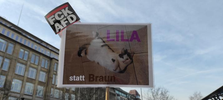 Das Plakat zeigt eine weiß-gescheckte Katze, die sich auf dem Boden räkelt und direkt in die Kamera starrt. Als Text steht daneben "Lila statt braun" und an der linken, oberen Ecke des Plakats klebt deutlich sichtbar ein FCK AFD- Sticker.