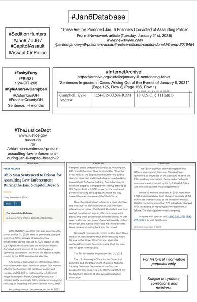 Screenshots of court information pertaining to convicted January 6th rioter Kyle Andrew Campbell (Columbus, Ohio).