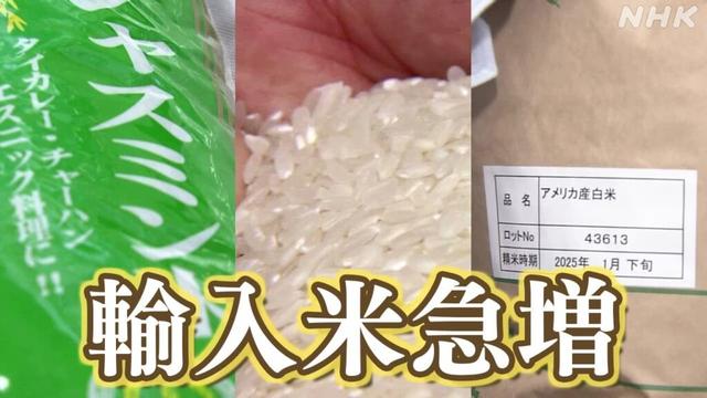 米価格2025 高騰続き輸入米急増 備蓄米放出でどうなる？「米類」歴史的高騰 消費者物価指数1月 | NHK