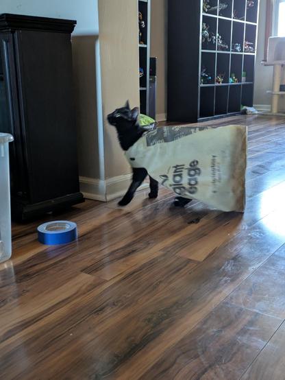 A black cat with her entire body through the loop of a reusable grocery bag. Her tail is propping ir up to look like a fancy dress. She contemplates jumping onto the furniture.