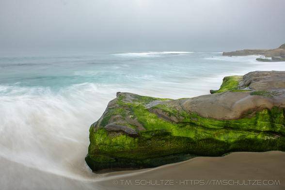 Saturday morning at Windansea Beach.