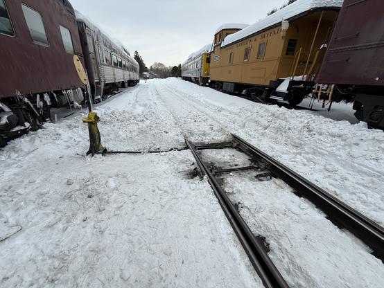 A track switch in a rail yard, with several passenger coaches on a track to the left and a caboose and baggage cars on a track to the right, with the switch on a center track
