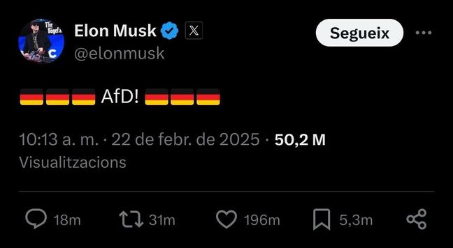 Tweet de Musk donant suport a AfD