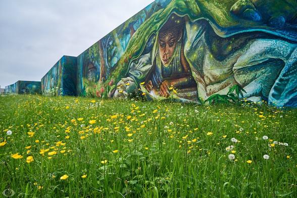A wall with street art with lots of greens and blues, depicting a child reading a book under the sheets. In front of that, a lush meadow with lots of buttercups.