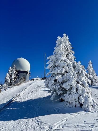 A Snow-covered landscape near the summit of Großer Arber. On the right, a tree covered in snow. On the left, a radar dome.