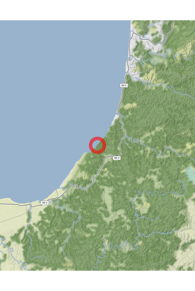 Map of the location of the observation: Tongapōrutu 4378, New Zealand, (latitude: -38.88, longitude: 174.54).
