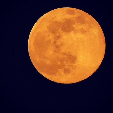 🇩🇪 Die Nahaufnahme zeigt einen vollen, orangefarbenen Mond vor einem dunkelblauen Nachthimmel. Der Mond nimmt einen erheblichen Teil des Bildes ein, wobei seine Oberflächendetails wie Krater und strukturierte Bereiche sichtbar sind. Der dunkelblaue Hintergrund sorgt für einen auffälligen Kontrast und unterstreicht das strahlende Leuchten des Mondes. 🇬🇧 A close-up shot shows a full, orange-colored moon against a dark blue night sky. The moon takes up a significant portion of the image, with its surface details, such as craters and textured areas, visible. The dark blue background provides a striking contrast, highlighting the moon's radiant glow.