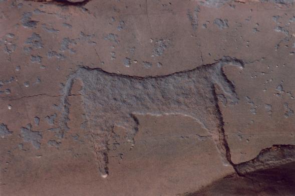 Pétroglyphe représentant une vache sur un rocher ocre rouge. Image prise en 2007 à Oukaimeden dans la vallée.