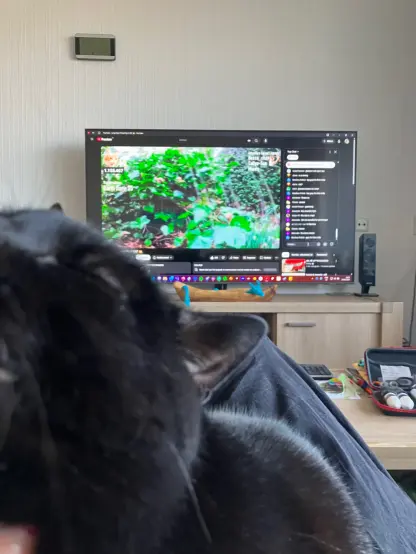 Awkward photo from my POV. Black cat Nita is in my lap while I'm watching a cat POV livestream (Ros - Adventure Cat).