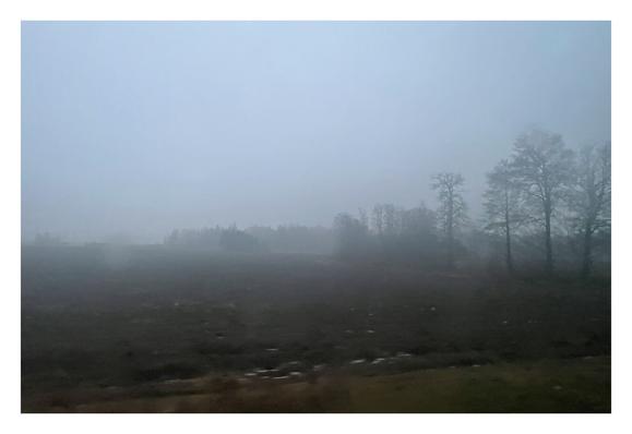 Photo of a landscape shortly before it gets dark: In the foreground there is a dark brown, uncultivated field. On its border, bits of snow tell about the weather of the last days. In the background there are bushes and trees without leaves. It is very hazy.